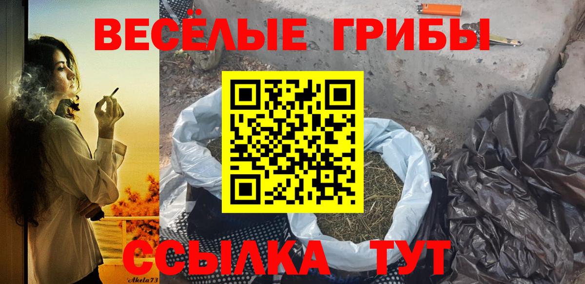 Галлюциногенные грибы Magic Shrooms Уссурийск