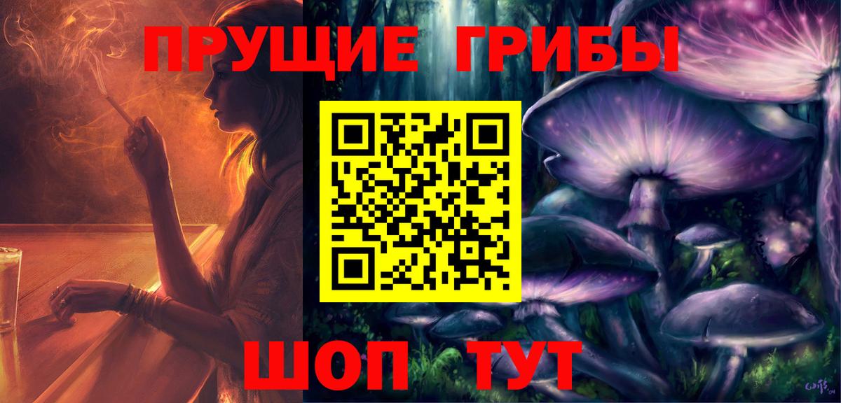 купить наркотики цена  Вход с VPN  Уссурийск  Галлюциногенные грибы Psilocybine cubensis 